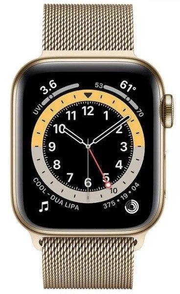 APPLE Watch Series 6 GPS + Cellular 40mm Gold Stainless Steel Case with Gold Milanese Loop